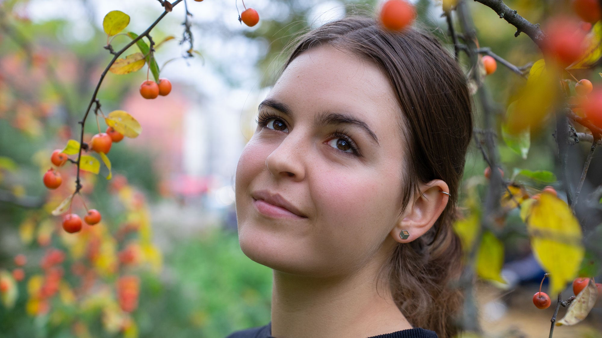 New In - entdecke unsere neuen Produkte