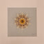 Little Bijou in frame V45