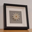 Little Bijou in frame V24