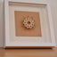 Little Bijou in frame V21