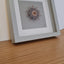 Little Bijou in frame V39