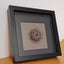 Little Bijou in frame V35