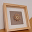 Little Bijou in frame V27